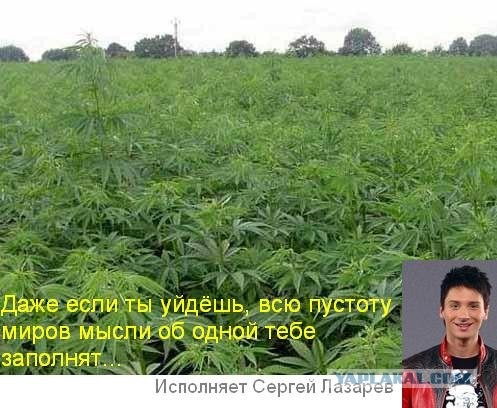 Из песни слов не выкинешь