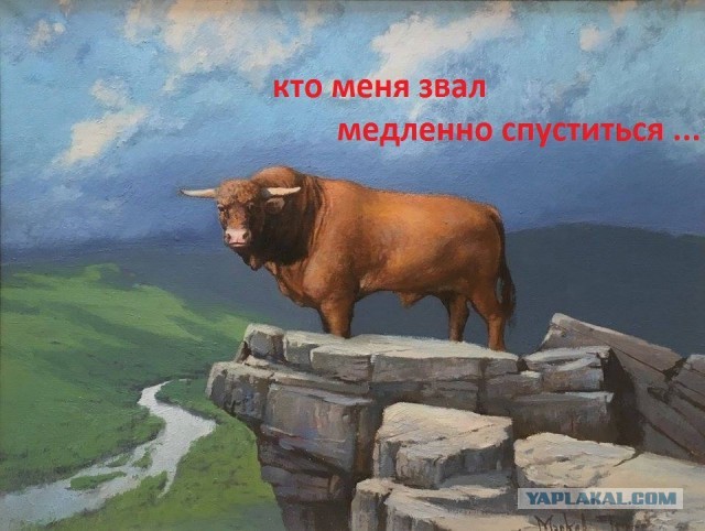 Вспышка неизвестной болезни в Сенегале. Её подхватило уже более 170 человек, их кожа покрылась волдырями, начался сильный зуд