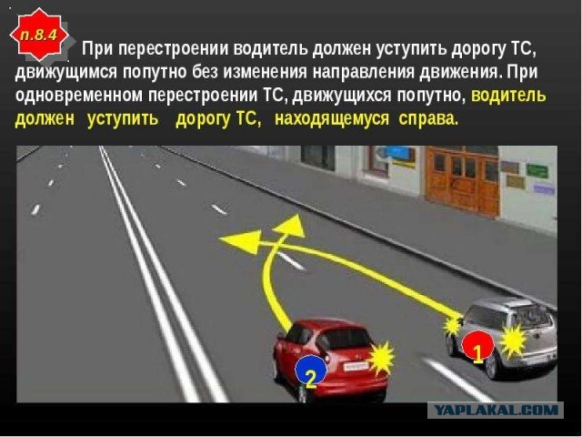 Нарушитель ПДД и его защитники нетрадиционной ориентации