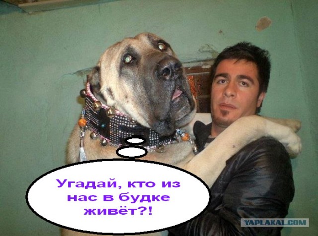 Фотожаба: Товарищи
