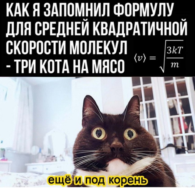Картинки и мемы для настроения 014