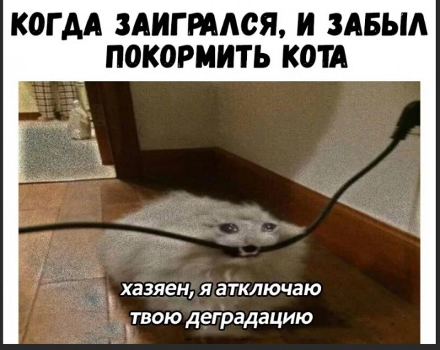 Фу, пошлятина одна