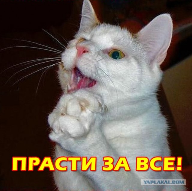 Тигр отужинал дрессировщиком