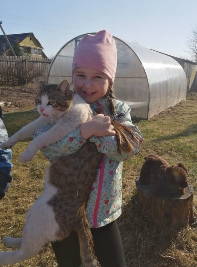 С котовторником!