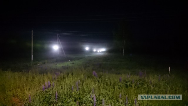 Последняя картинка в вашей Галерее/Загрузках
