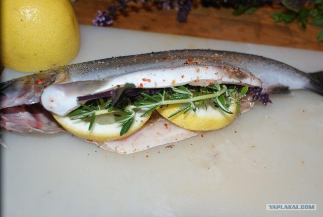 Пятничные посиделки на теплотрассе ©