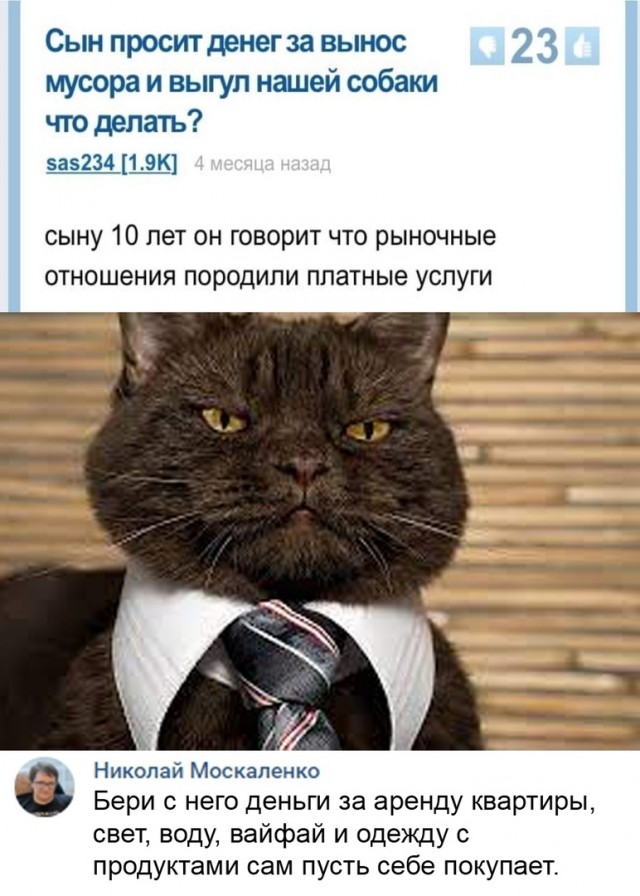 Так себе картинки 05.09.21