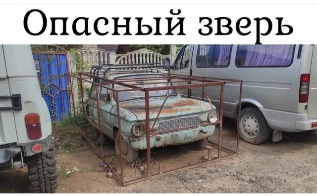 Картинки и мемы для настроения 27.09.2021