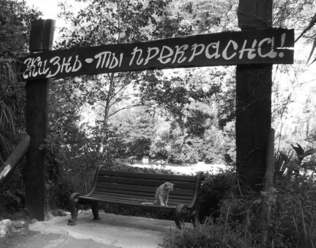 Так себе картинки 28.10.21
