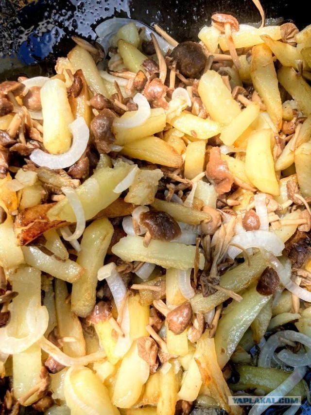 Жареная картошка