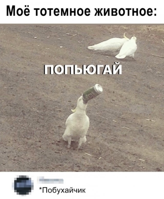 Так себе картинки 13.12.21