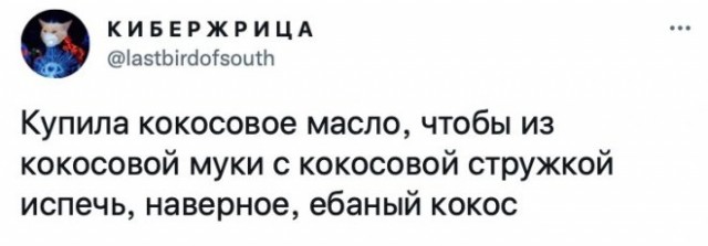 Человек собаке друг и другие картинки под настроение 13.01.2022
