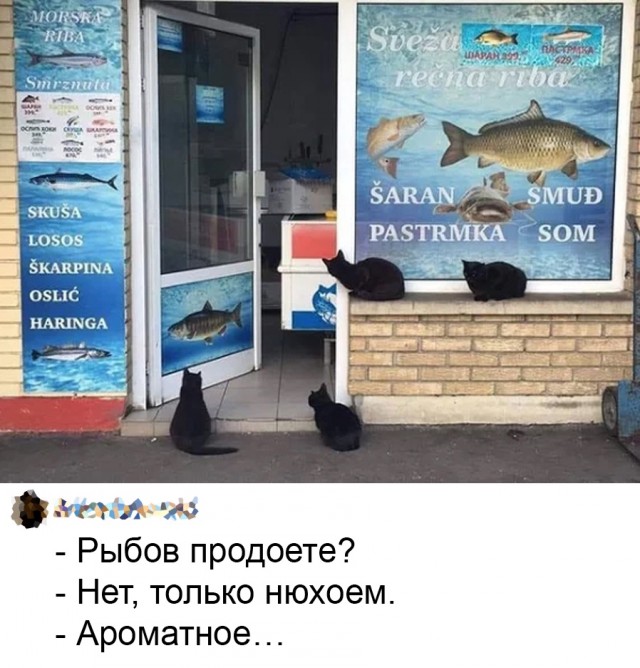 Так себе картинки 12.02.22