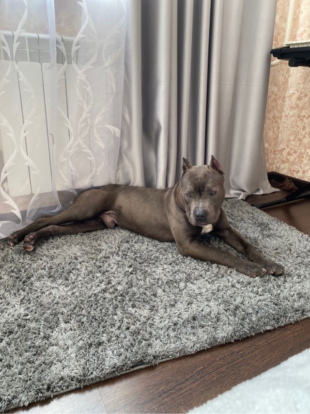 Счастье привалило!