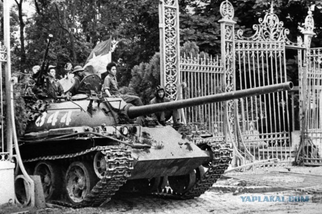 На границе с Беларусью Польша построила первые 50 километров стены высотой около 5 м