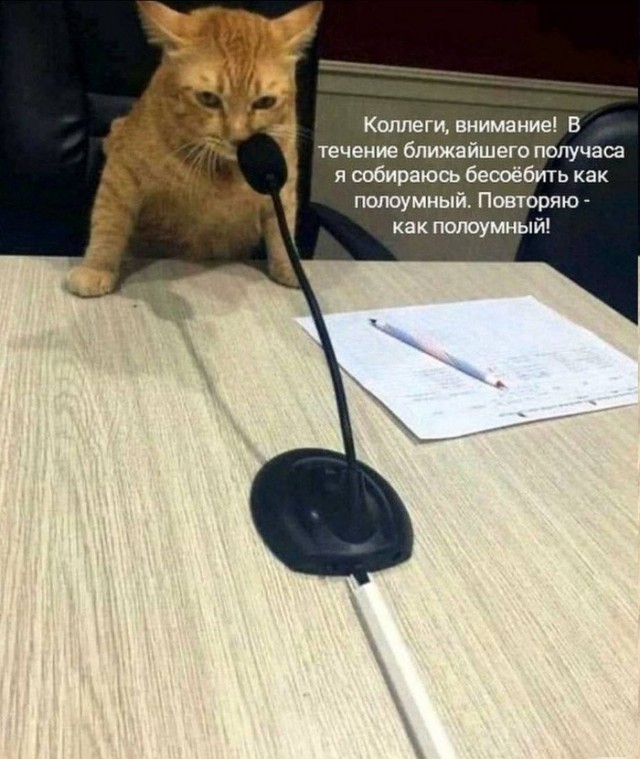 Немного картинок и прочего Vol. 13