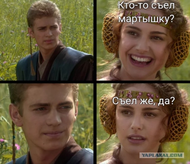 ⚡️ВОЗ созывает чрезвычайную встречу экспертов для обсуждения вспышки оспы обезьян