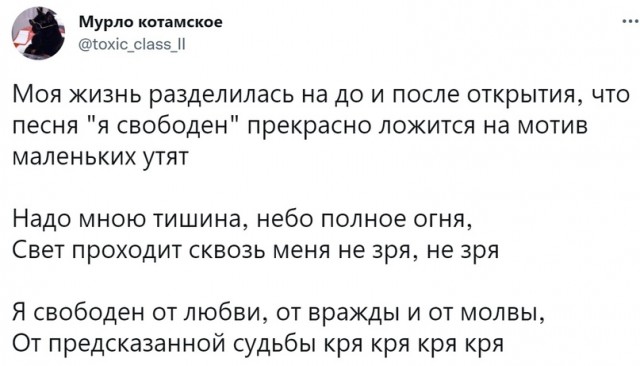 Картинки и мемы для настроения. Выходные скоро