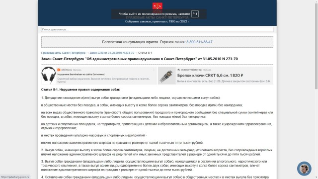 Россиянин застрелил женщину за выгул собаки без намордника