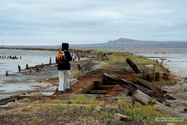 Вот в чем вся соль!