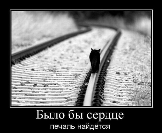 Интересные картинки