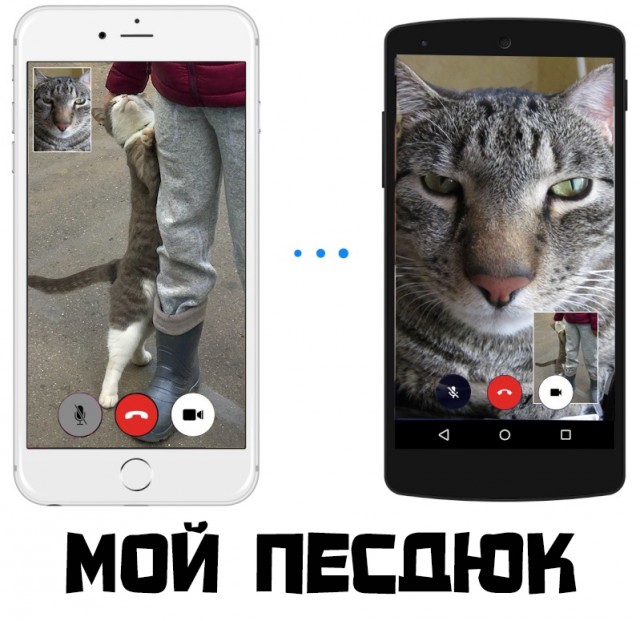 Девочка с кошечкой