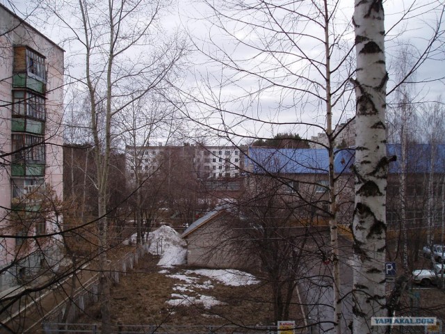 Изменения природы