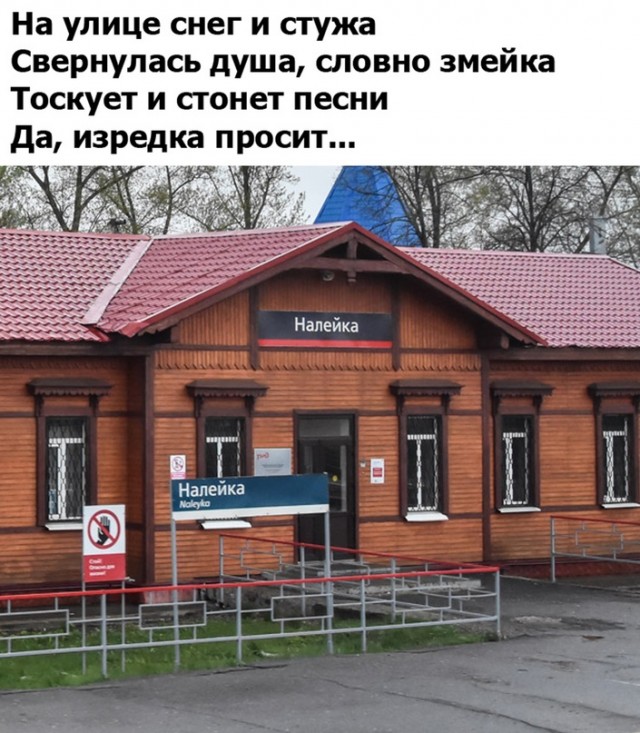 Картинки и мемы для настроения - 133