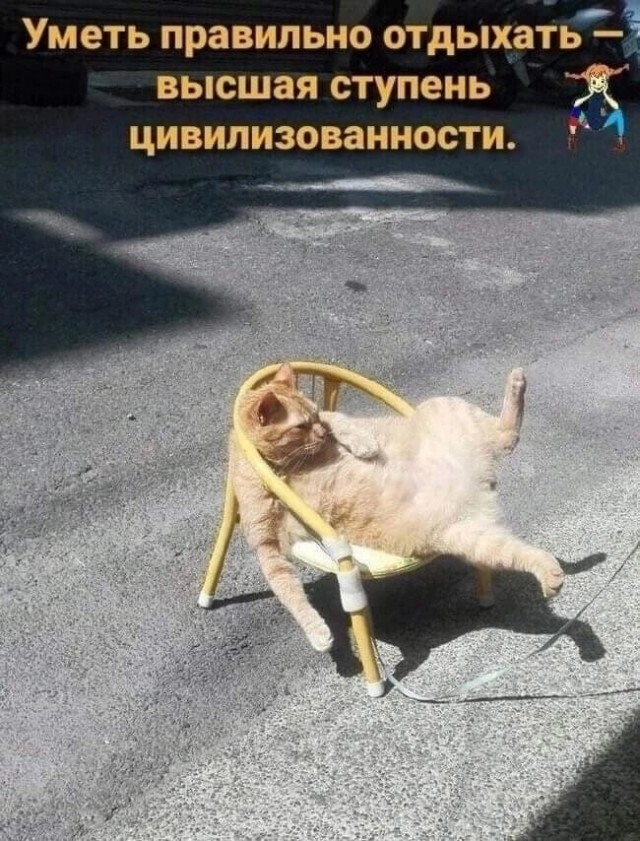 Весёлый полтишок 21.03.23