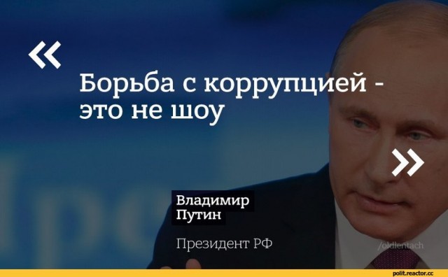 Глава района в Псковской области вместо сведений о доходах опубликовала указ Путина, разрешающий об этом не отчитываться