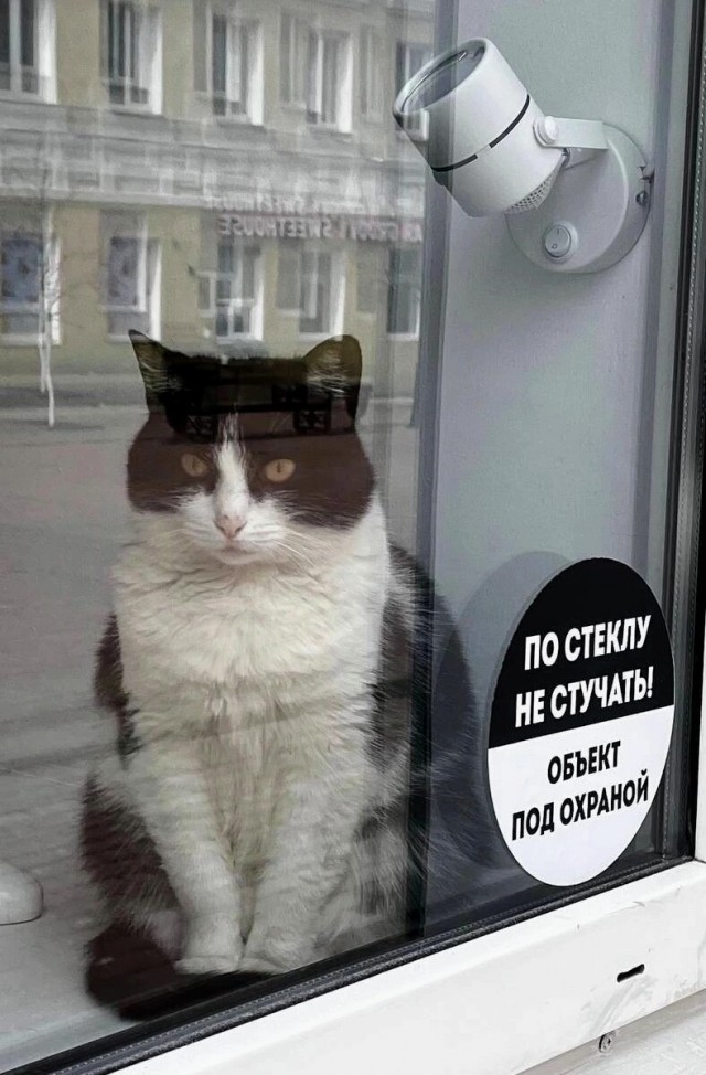 Картинки и мемы, всем хороших выходных