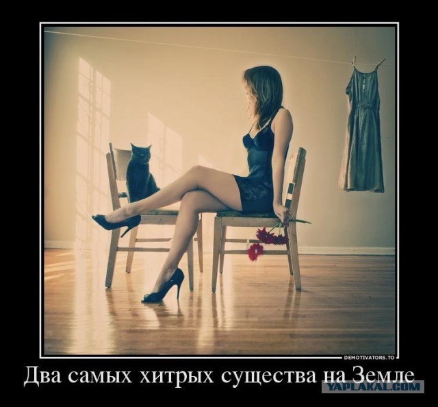 Даже не знаю что сказать.....