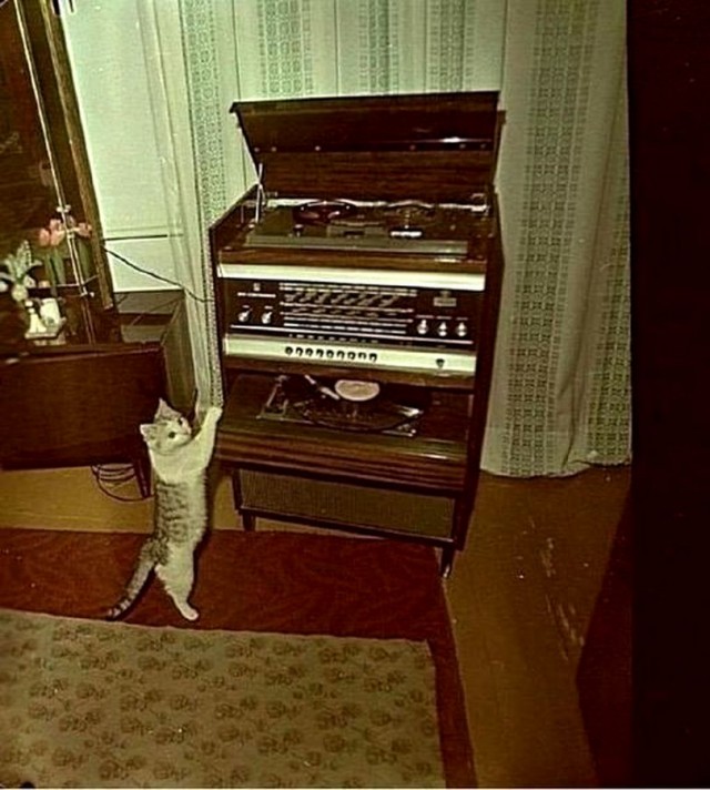 Фотографии из прошлого нашей страны - 21