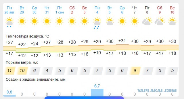 «Я могу быть невинной хоть сто раз». Капсулы девственности покорили Азию