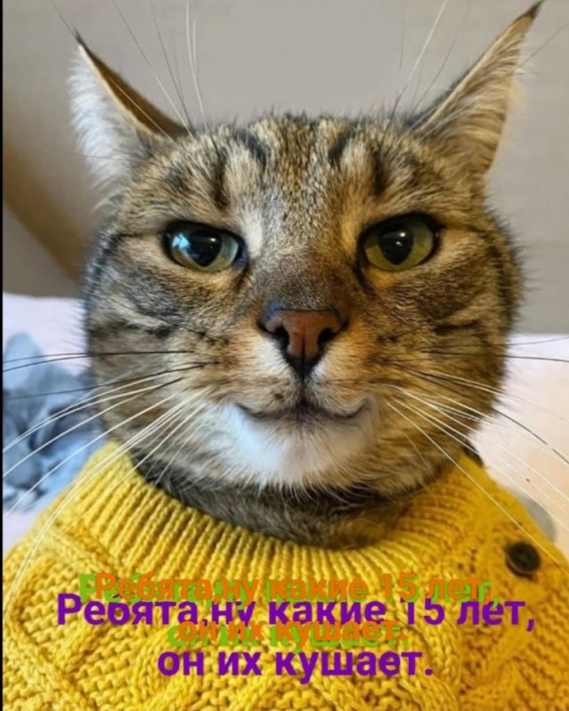 Чувак из Крыма, который выращивал галлюциногенные грибы, встретил полицейских с радостью