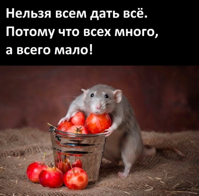 Так себе картинки 16.10.23