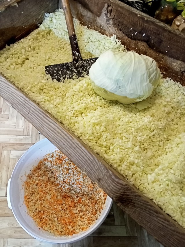 Квашеная капуста