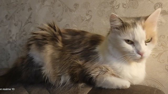 Стажер работает за еду