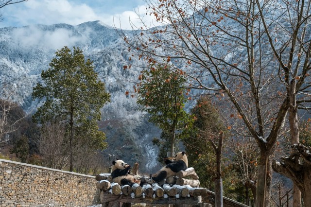 Подборка интересных и веселых картинок 13.02.24