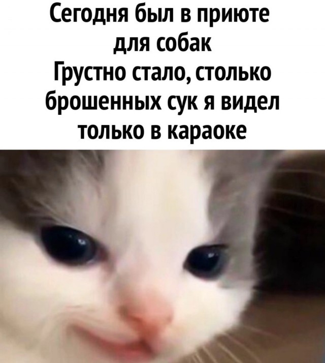 Муж расплакался, когда узнал, что жена в тайне от него копит деньги на случай развода