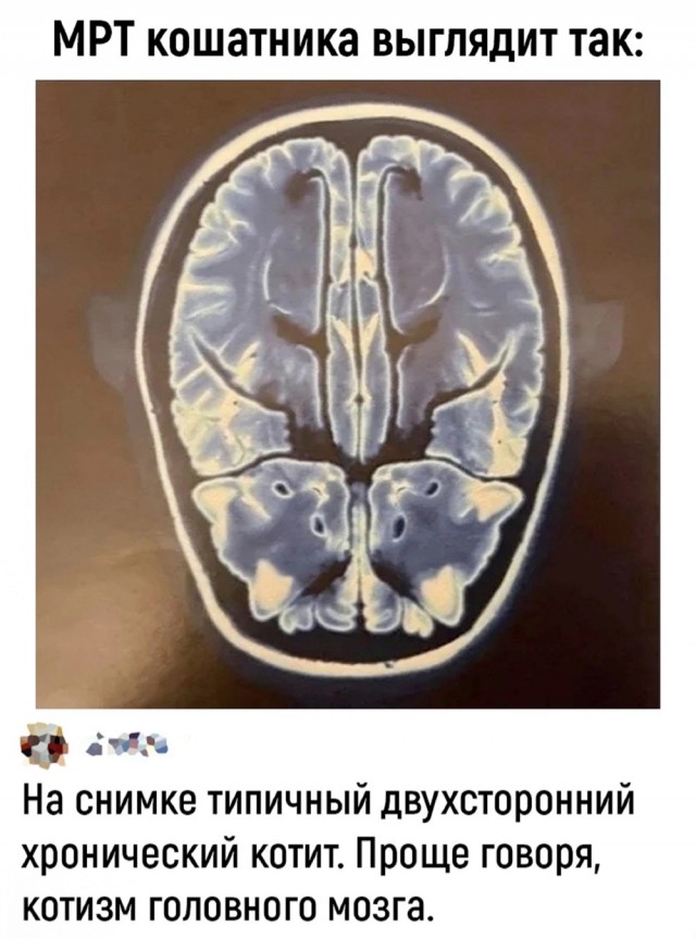 А у нас лапки