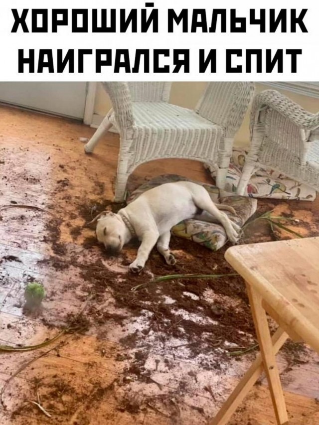 Пора в космос!