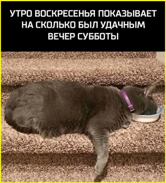 ТРРРидцать тРРРи от 3 апреля