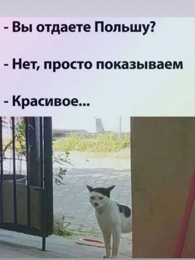 Картинки