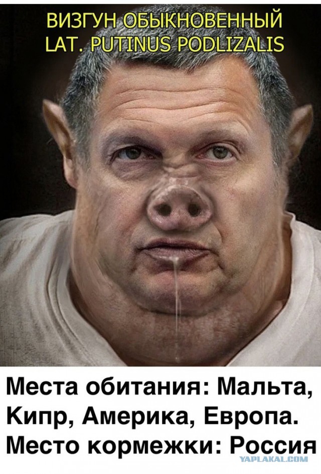Соловьёв: Обвинять меня во лжи, извините, непозволительно никому