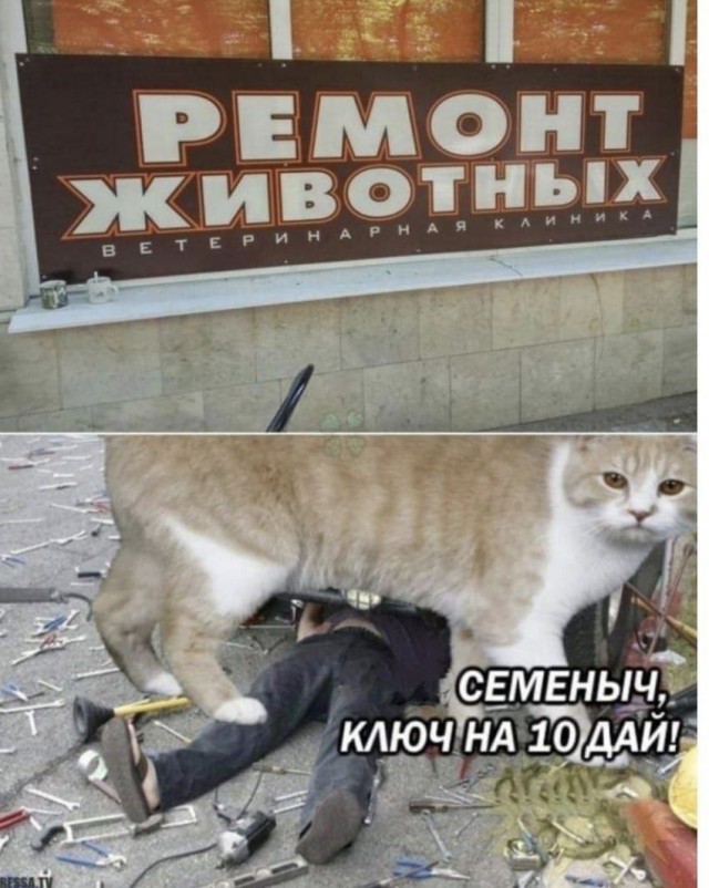 Никакие картинки