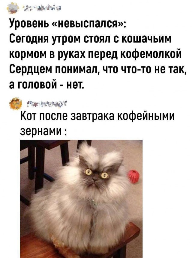 Всего понемногу. От 07.08