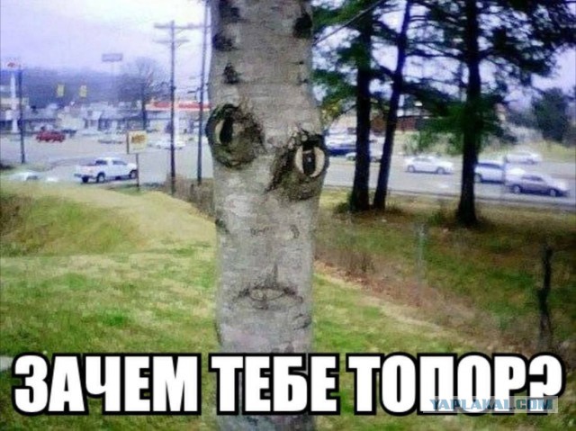 Завалялось тут случайно немного забавных картинок