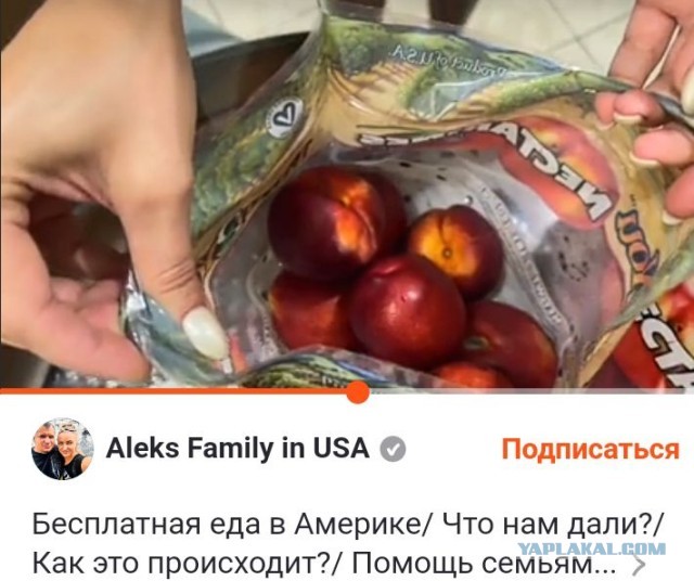 Россияне проверили, как дают бесплатную еду в Америке