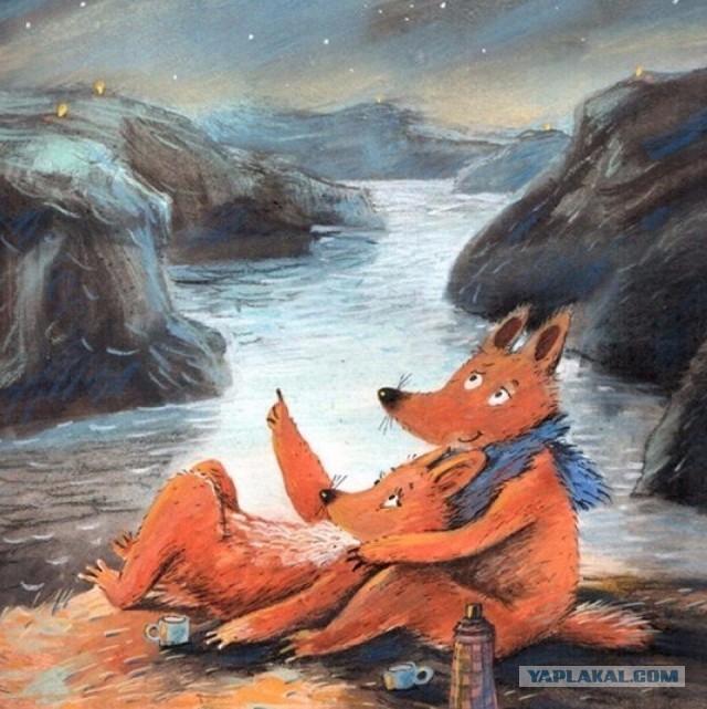 Лисухи и не лисухи